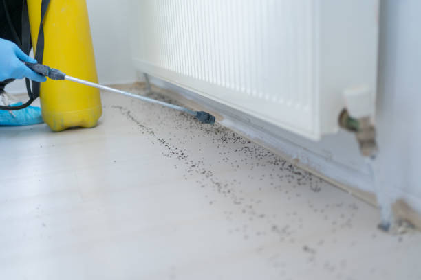 Best Cockroach Control Services  in Theresa, WI