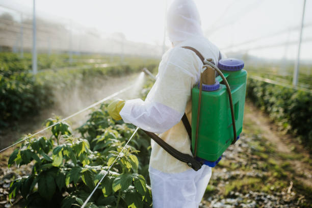 Best Bed Bug Extermination  in Theresa, WI